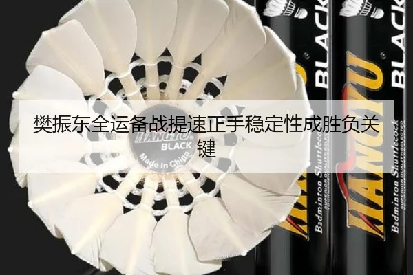 樊振东全运备战提速正手稳定性成胜负关键